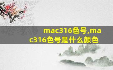 mac316色号,mac316色号是什么颜色