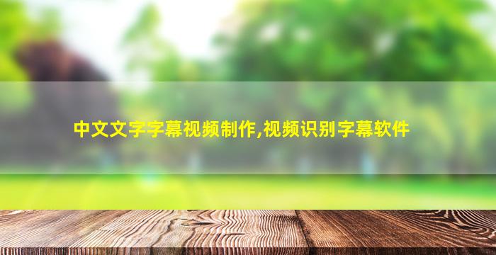 中文文字字幕视频制作,视频识别字幕软件